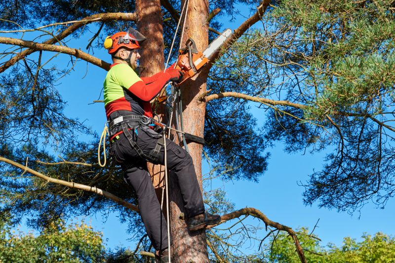 Tree Service detail